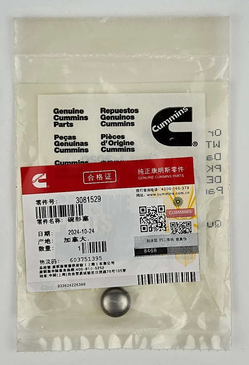 Заглушка Cummins QSK19 3081529