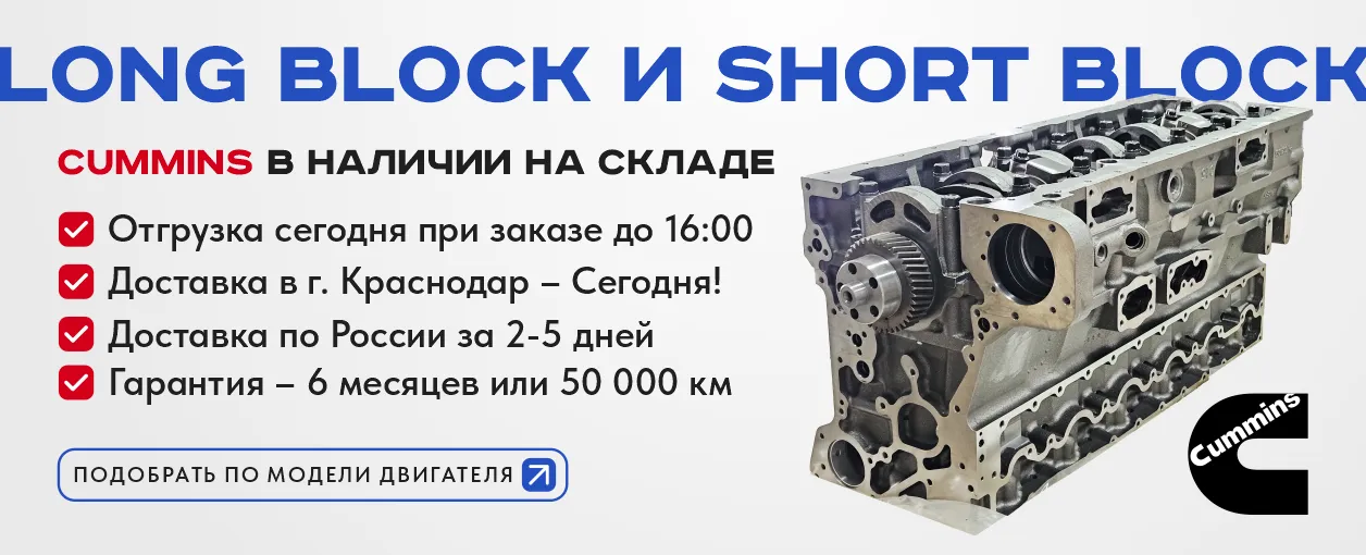 Шорты лонги