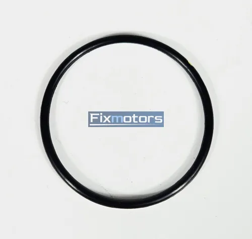 Кольцо стакана форсунки Cummins  М11/QSM11/ISM11 3007759