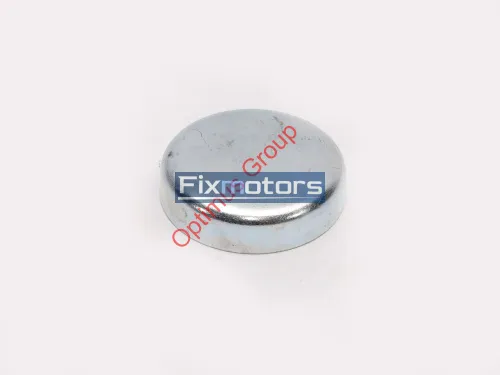 Заглушка ГБЦ 38мм Cummins 6ISBe 3945094