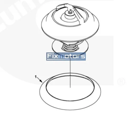 Кольцо уплотнительное термостата Cummins ISLe 8.9L. 4936967