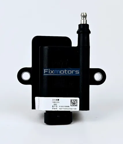 Катушка зажигания Weichai WP5NG, WP7NG, WP12NG оригинал  (Woodward) 612600190686