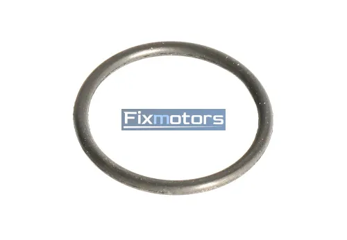 Кольцо уплотнительное крышки натяжителя цепи дв.Cummins ISF2.8 3042543 5340700