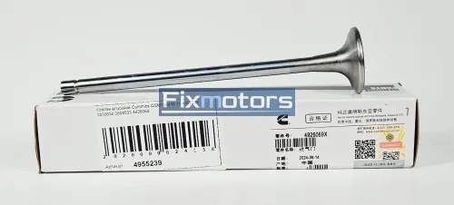 Клапан впускной Cummins QSM/ISM/M-11 4955239 3800636 3804533 4926069