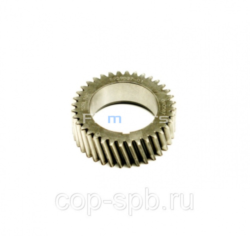 Шестерня коленвала Cummins 6BTА, EQB 3929027, 3919681, 3912883, 3901258