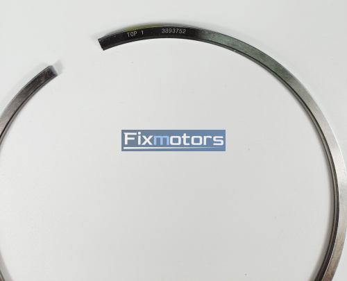 Кольцо поршневое компрессионное Cummins М11 3893752